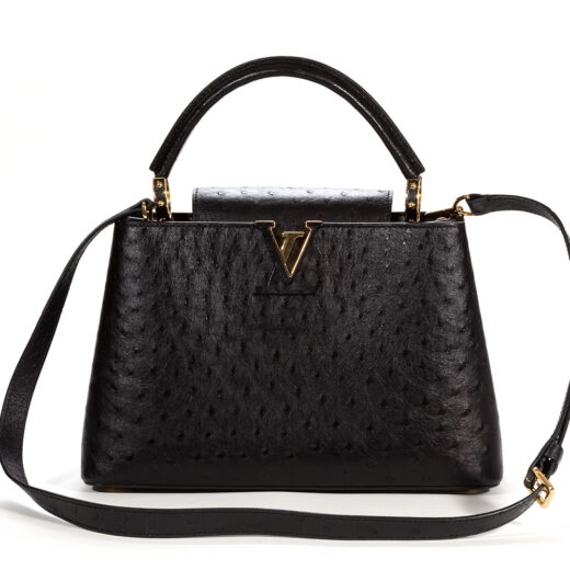 Louis Vuitton ostrich capucines bag ✨