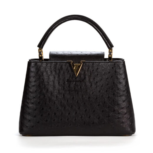 Capucines Mini Bag Ostrich Leather - Handbags N81279