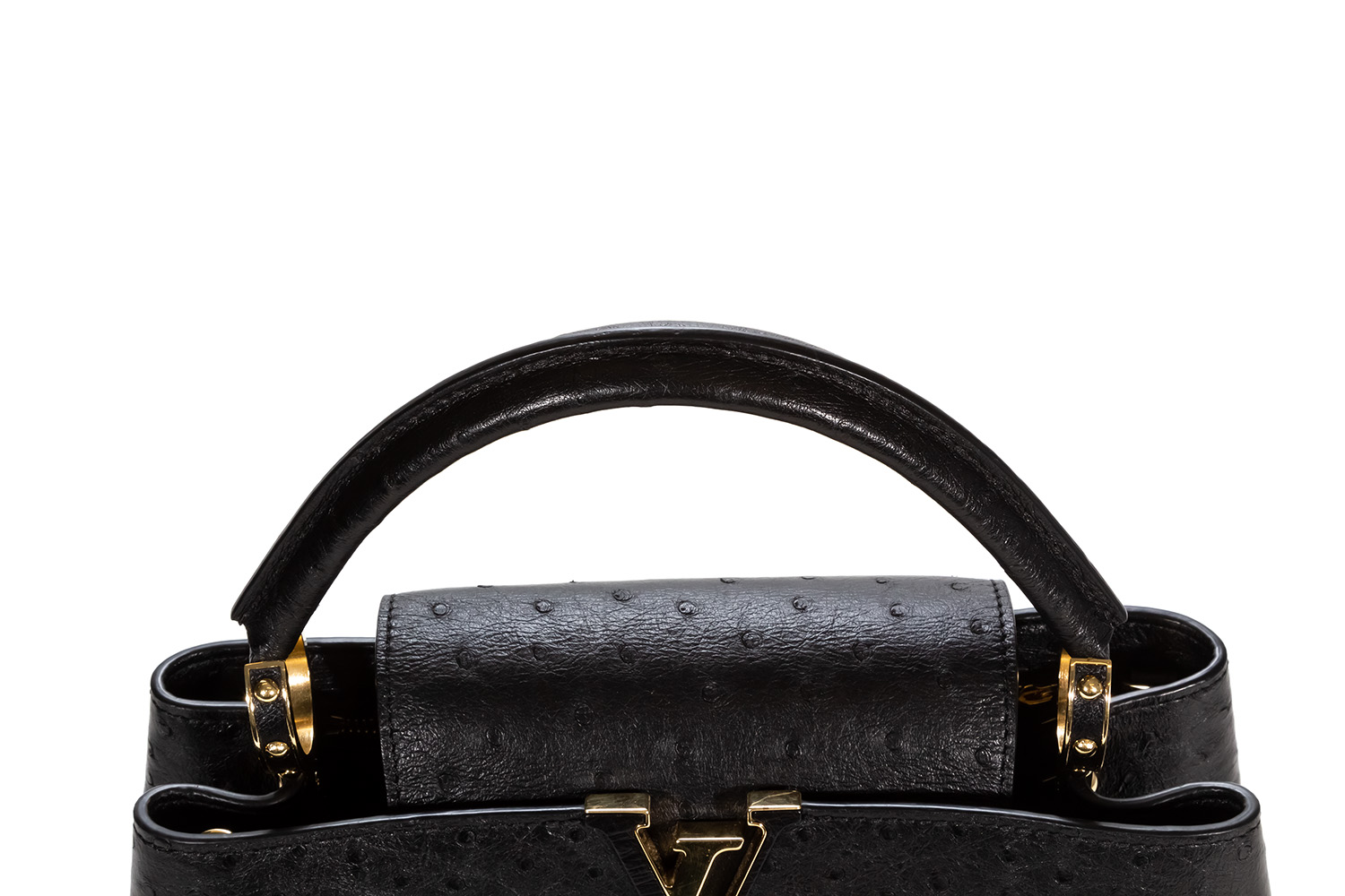 Louis Vuitton Capucines PM & BB Comparison 