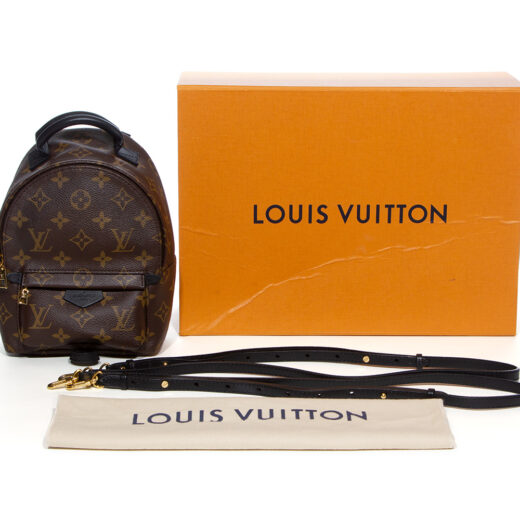 Louis Vuitton Palm Springs Mini Backpack - Gaja Refashion